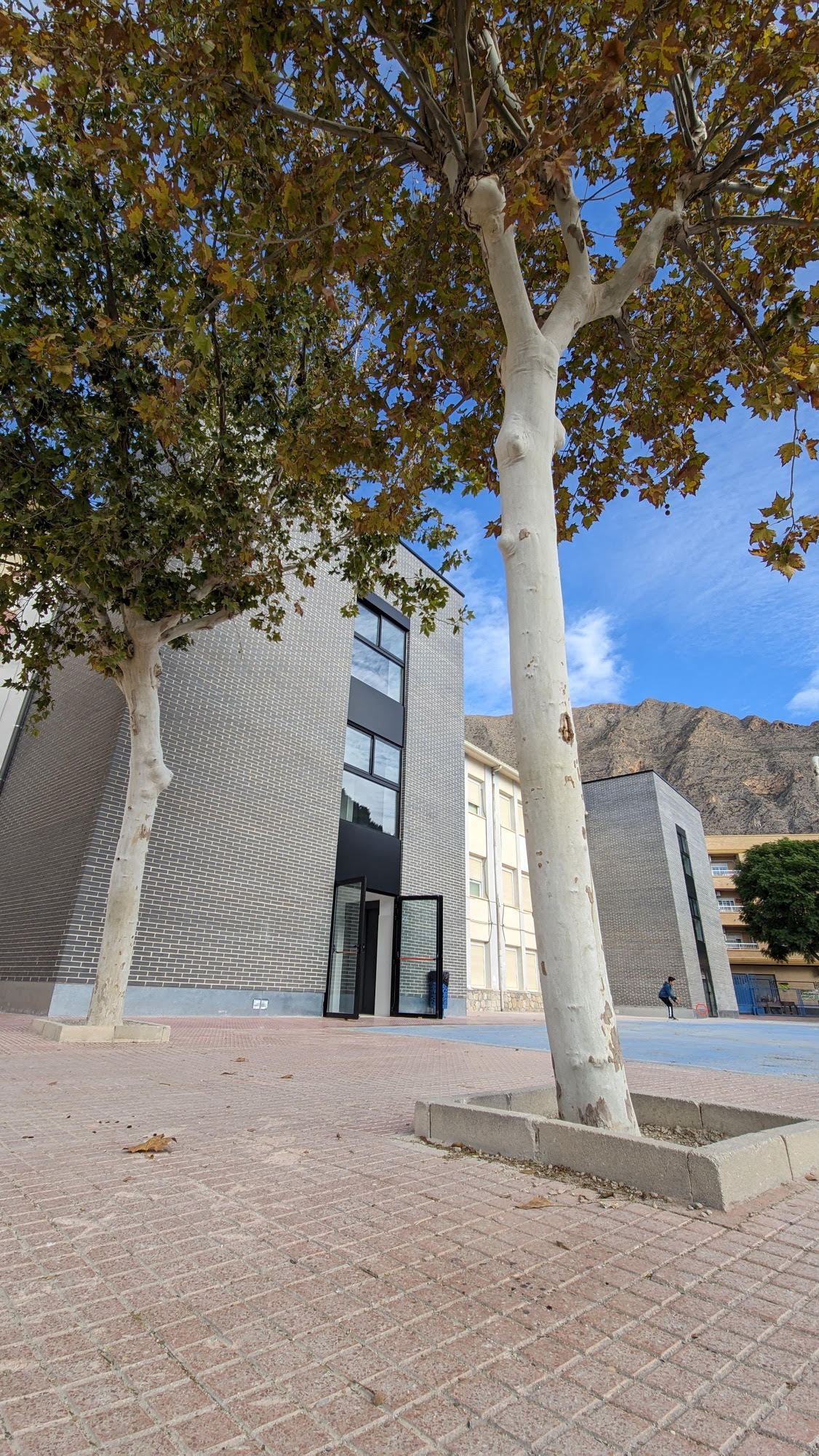 ceip sagrados corazones9